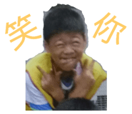 408532665