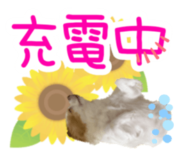408537889