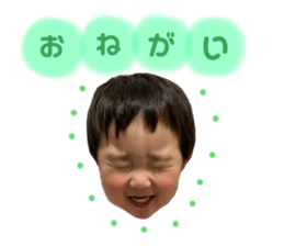 408556631