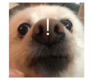 408582949