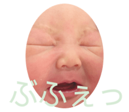 408646804