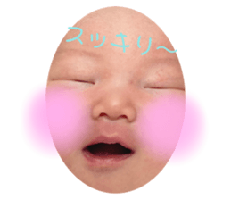 408646810