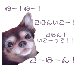 408717698