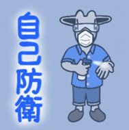 408747046