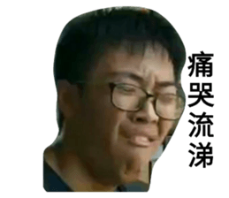 408778016