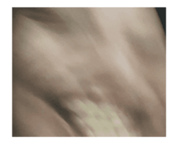 408824677