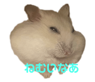 408832228