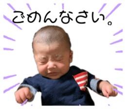408850808