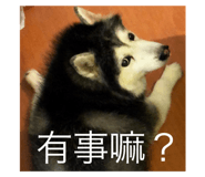 40888200