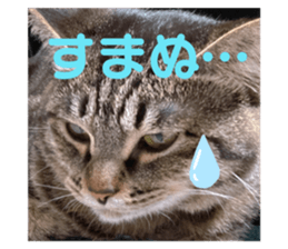 408905090