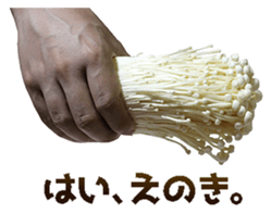 408935282