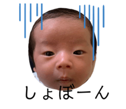408999078