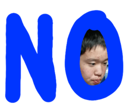 409129773