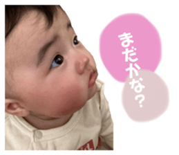 409136565