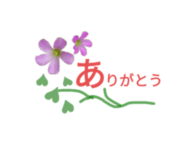 409140102