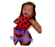 40923404