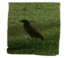 409267580
