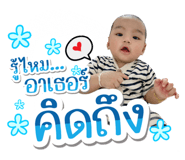 409376688