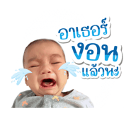 409376701