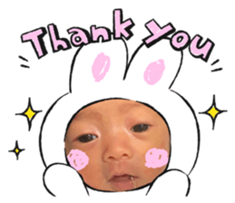 409541156