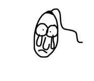 409625942