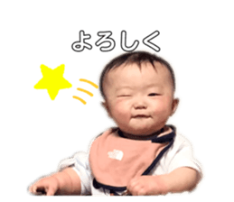 409635222