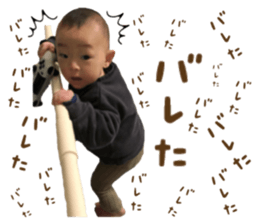 409646293