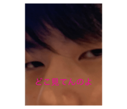 409704546