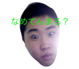 409781856