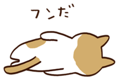 409895