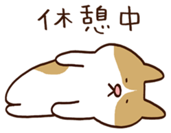 409905