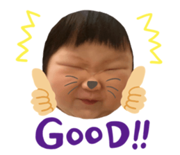 409928022