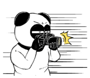 409948221