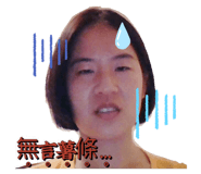 410010355