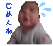 410067297