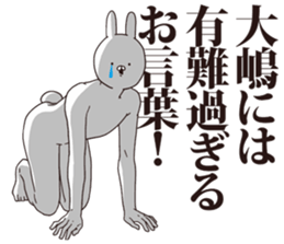 41006888