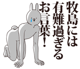 41007736