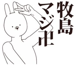 41007753