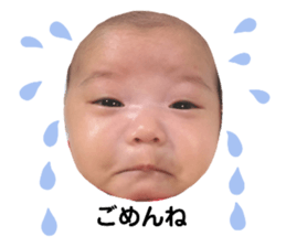 410085530