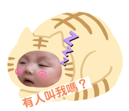 410110234