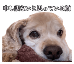 410122232