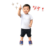 41013650