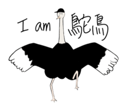 410156606