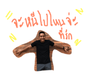 41018818