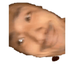 410228663