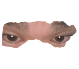 410228665