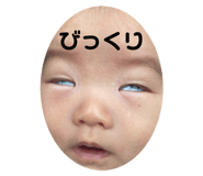 410251484