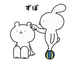 41025177
