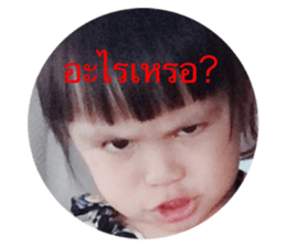 41025417