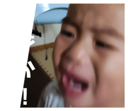 410283212